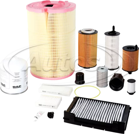 INSPECTION KIT DAF 1723245| Good Price | Online shop - Autos